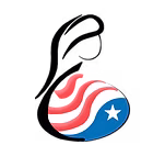 Patriot Conceptions Logo
