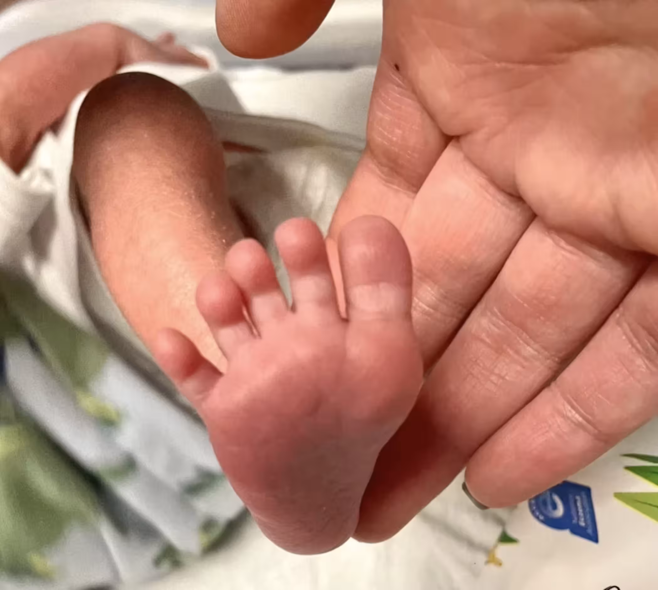 Patriot Babies & Surrogates Image 4